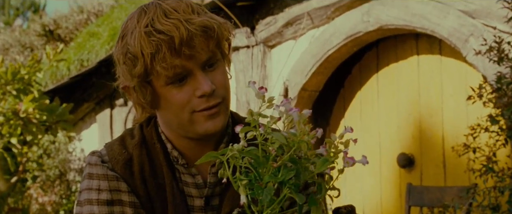 10 personaggi famosi etero che forse non sono poi così etero -Samwise Gamgee